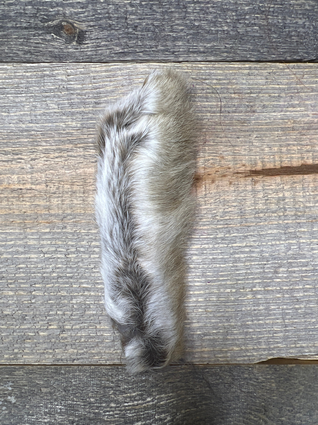 Spent Fly Fishing Snowshoe Hare Foot Natural Cream Rabbit Hair