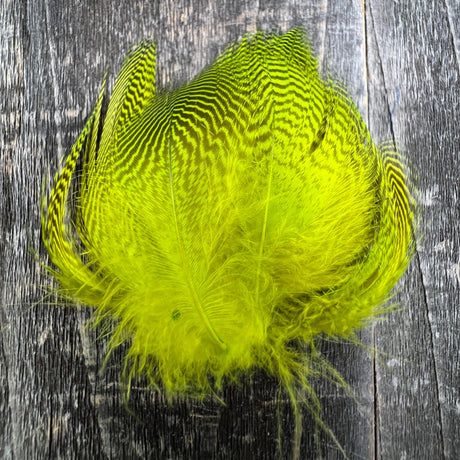 Teal Flank Saddle Hackle, Hen Hackle, Asst. Feathers