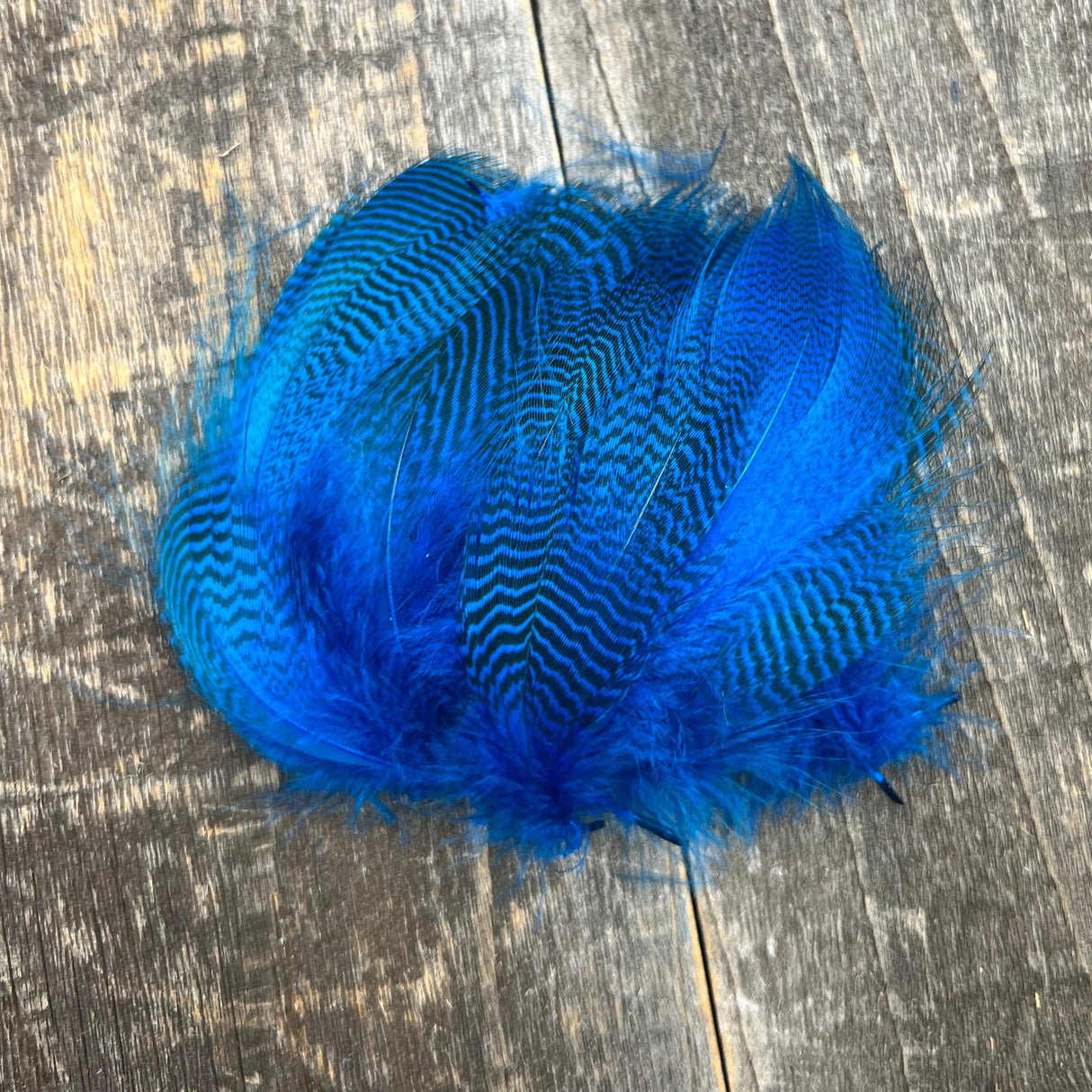 Teal Flank Saddle Hackle, Hen Hackle, Asst. Feathers