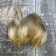 Teal Flank Saddle Hackle, Hen Hackle, Asst. Feathers