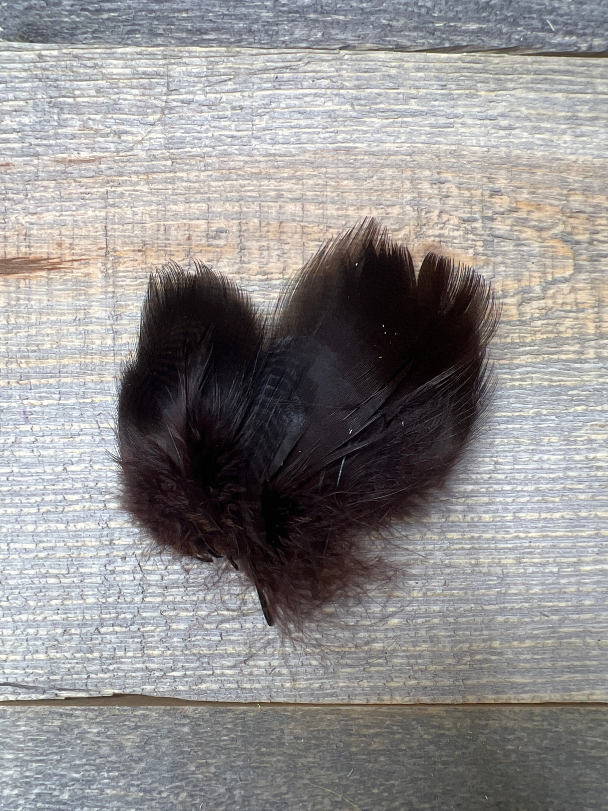 Teal Flank Brown Duck & Goose Feathers