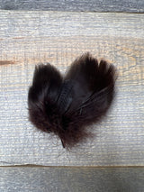 Teal Flank Brown Duck & Goose Feathers
