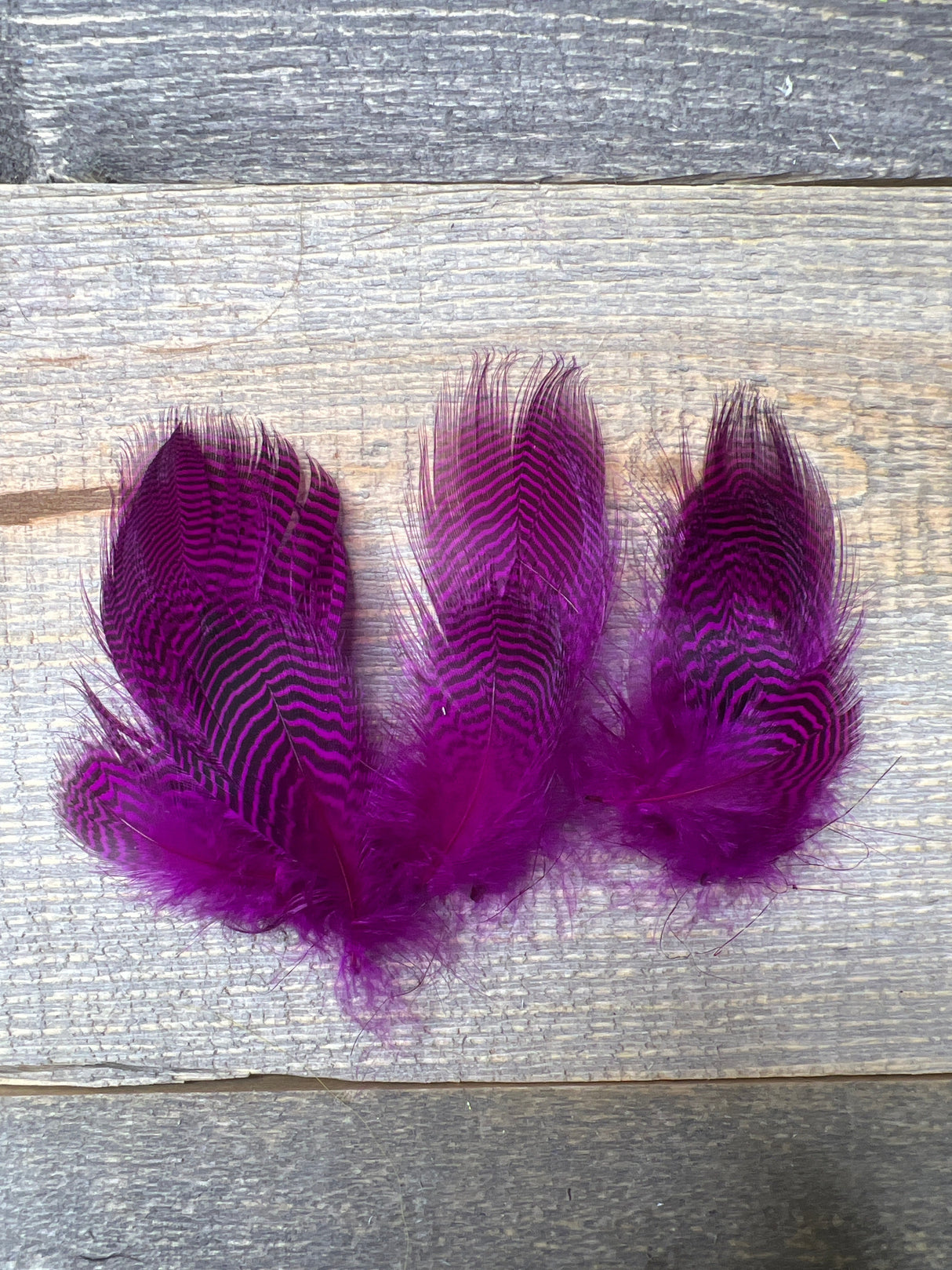 Teal Flank Fuschia Duck & Goose Feathers