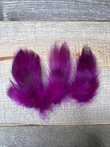 Teal Flank Fuschia Duck & Goose Feathers