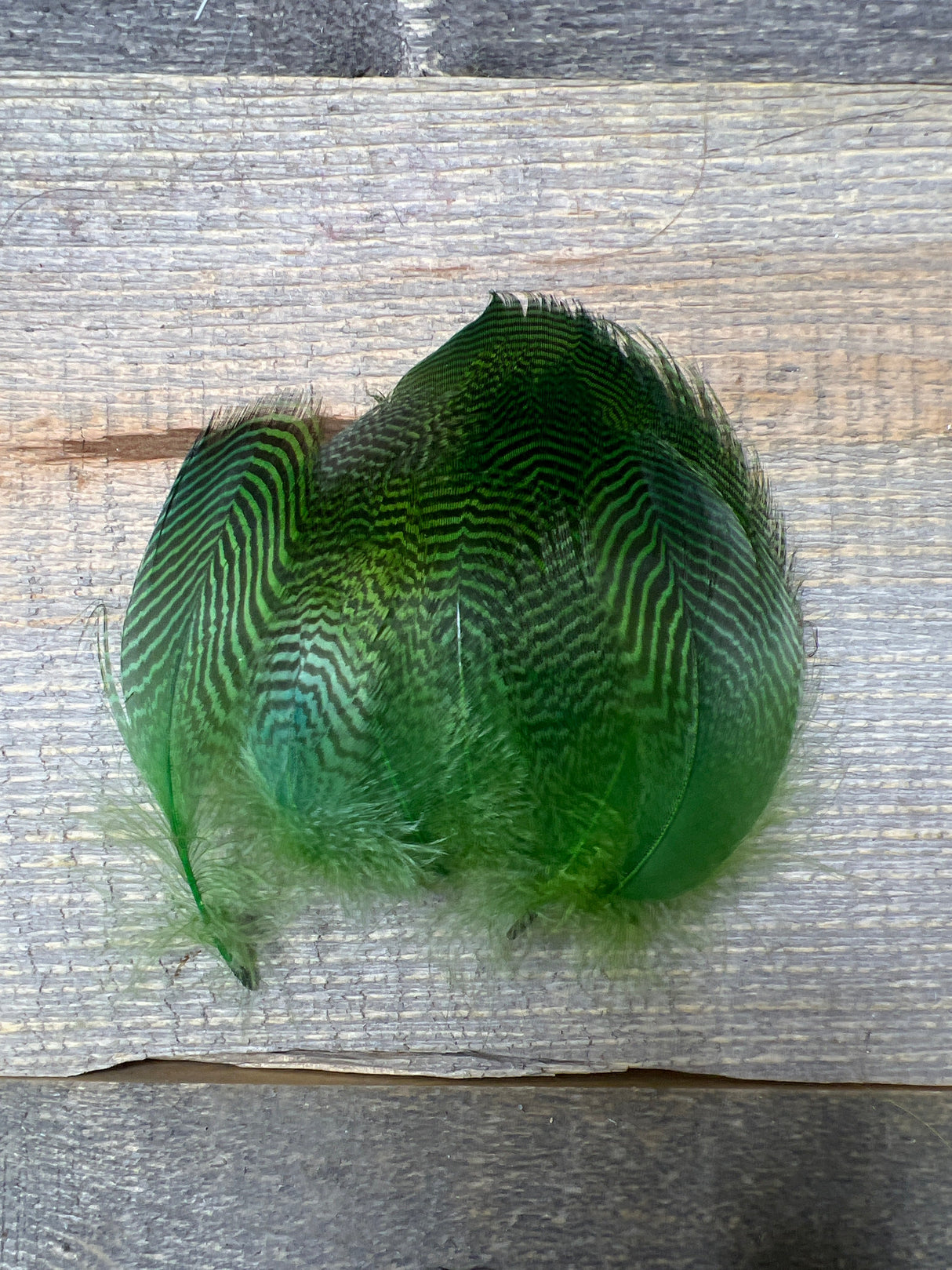Teal Flank Green Duck & Goose Feathers