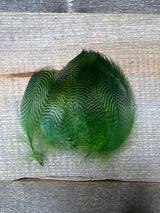 Teal Flank Green Duck & Goose Feathers