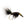Tullis' Wiggle Bug Black / 1/0 Flies