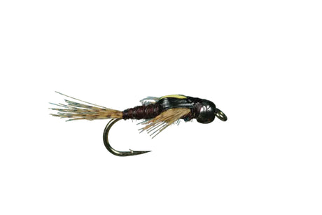 Tungsten Split Case PMD Nymph 14 Trout Flies