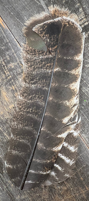 Turkey Secondary Pair #2 Natural
