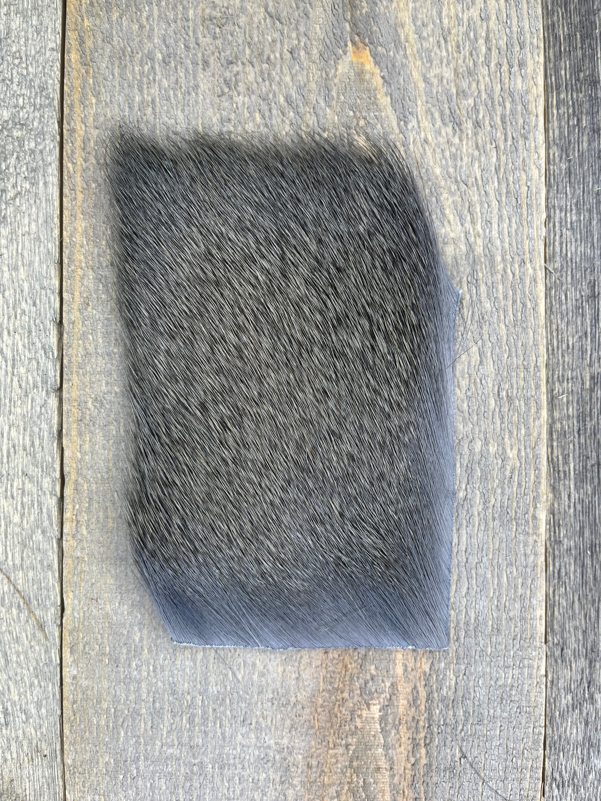 Varner's Big Bug Deer Hair 3" x 4" Patch - Mid Season Grade #1 Gray Deer Hair