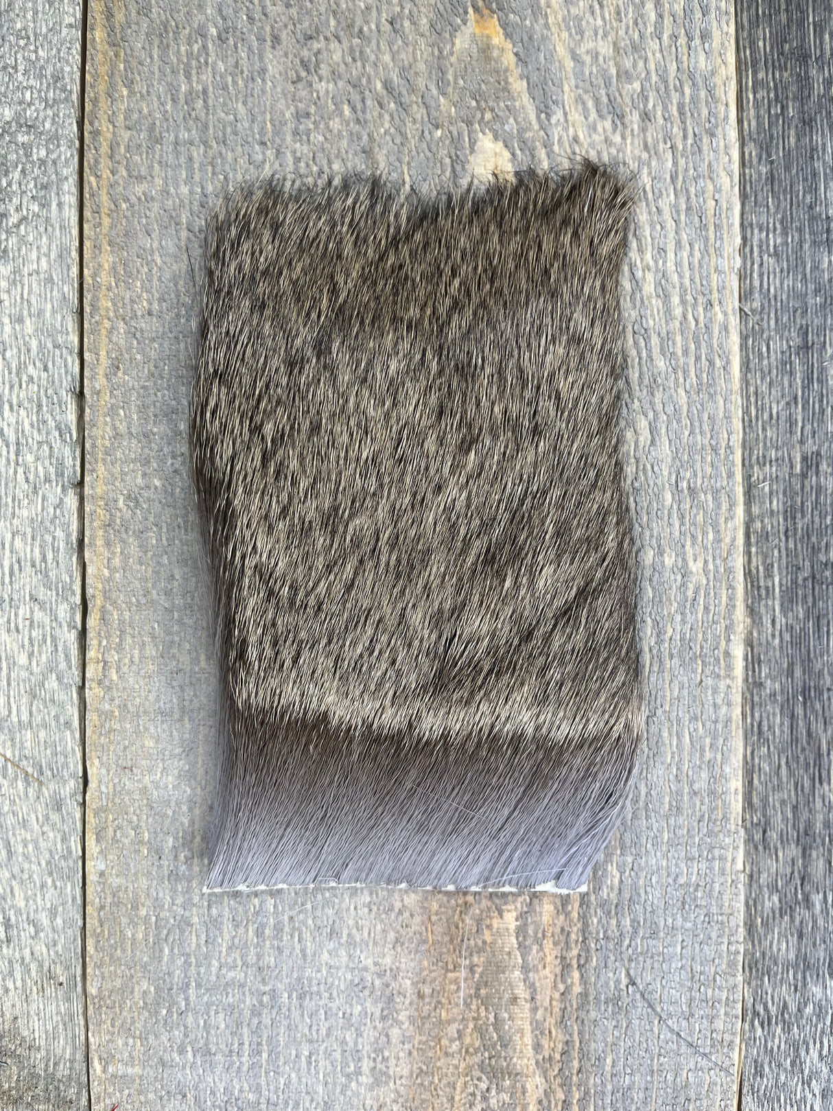 Varner's Big Bug Deer Hair 3" x 4" Patch - Mid Season Grade #1 Pearl Gray Deer Hair