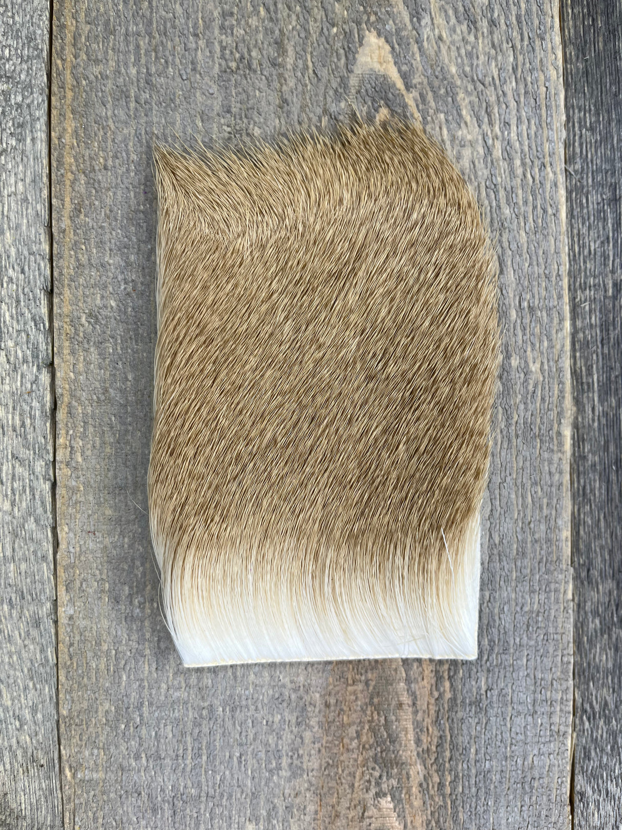 Varner's Big Bug Deer Hair 3" x 4" Patch - Mid Season Grade #2 Ash Deer Hair