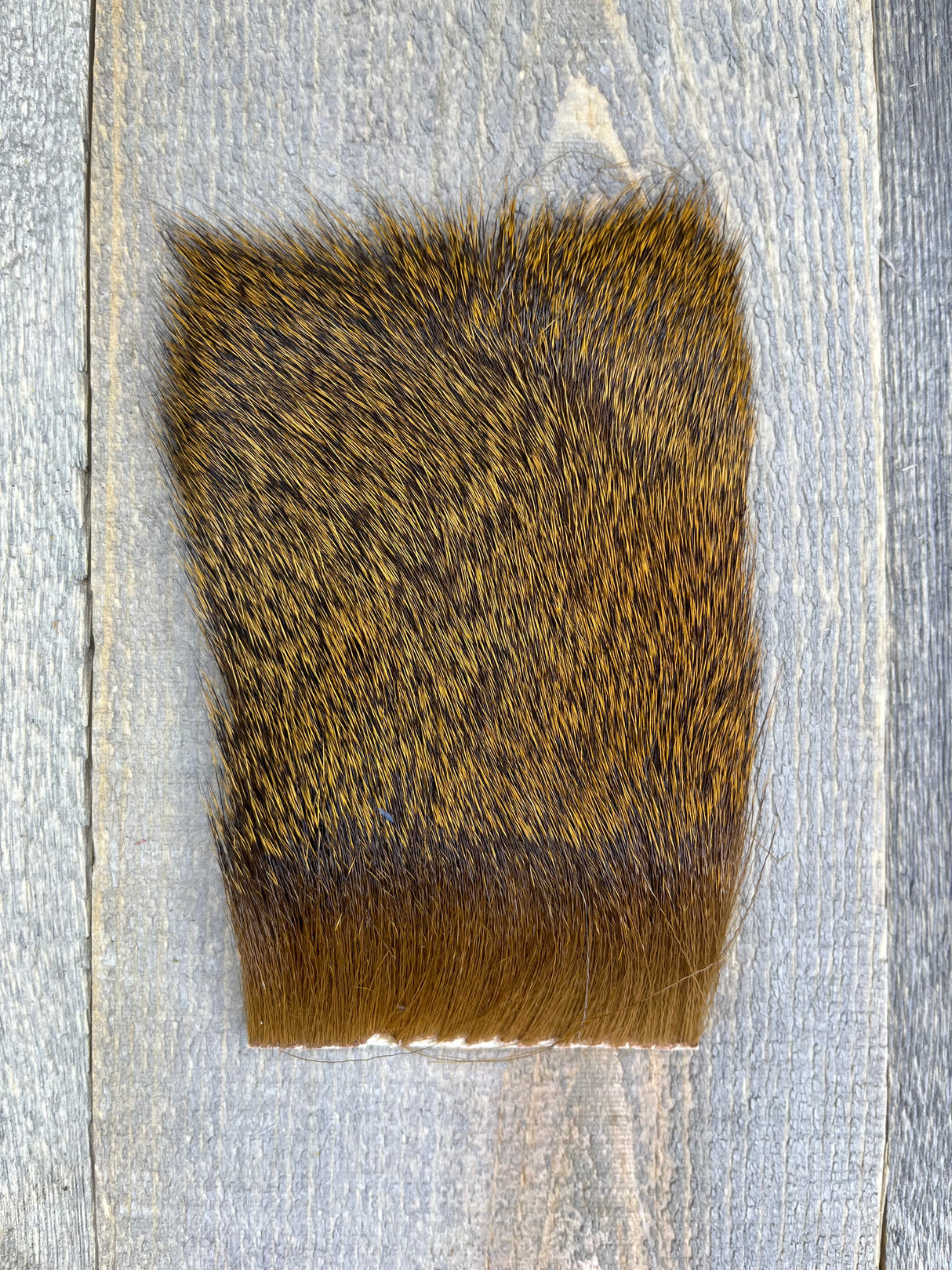 Varner's Big Bug Deer Hair 3" x 4" Patch - Mid Season Grade #2 Copper Deer Hair