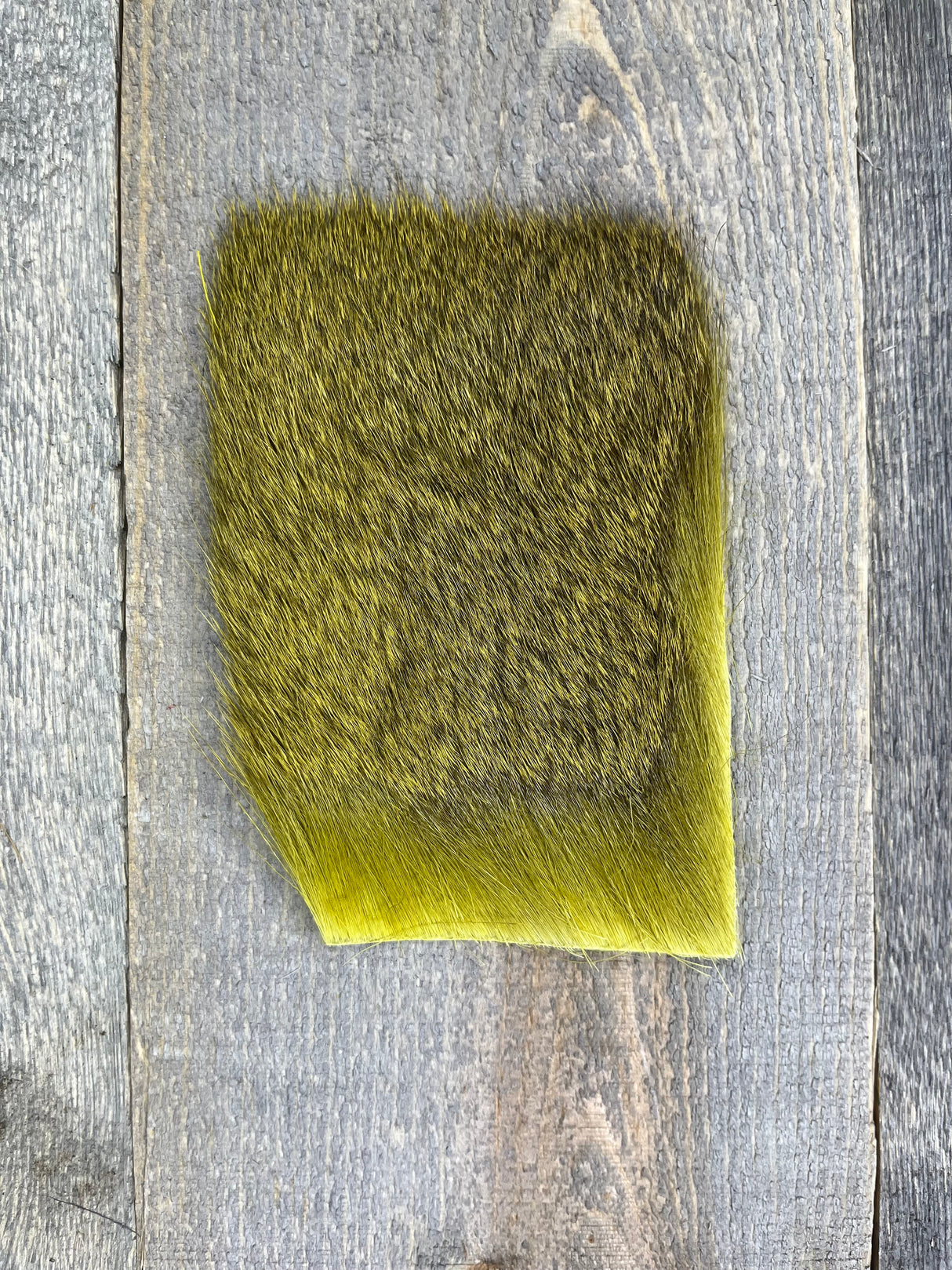 Varner's Big Bug Deer Hair 3" x 4" Patch - Mid Season Grade #2 Golden Olive Deer Hair