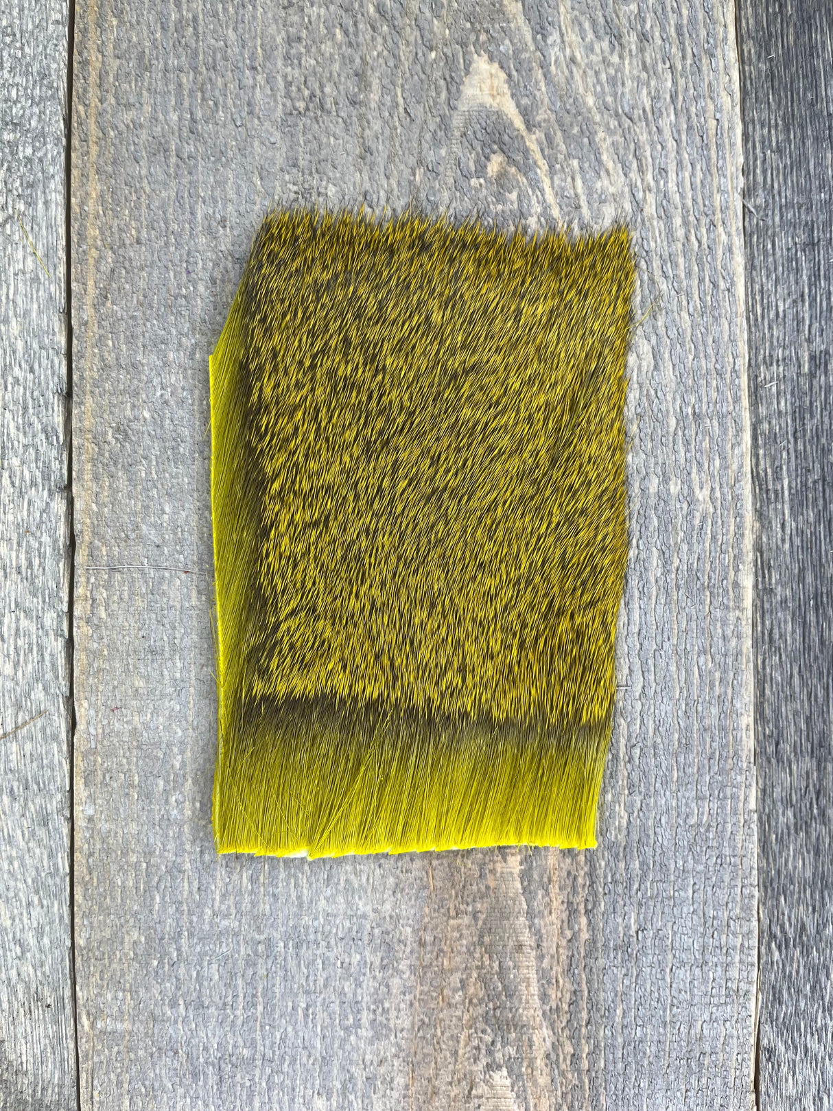 Varner's Big Bug Deer Hair 3" x 4" Patch - Mid Season Grade #2 Yellow Deer Hair
