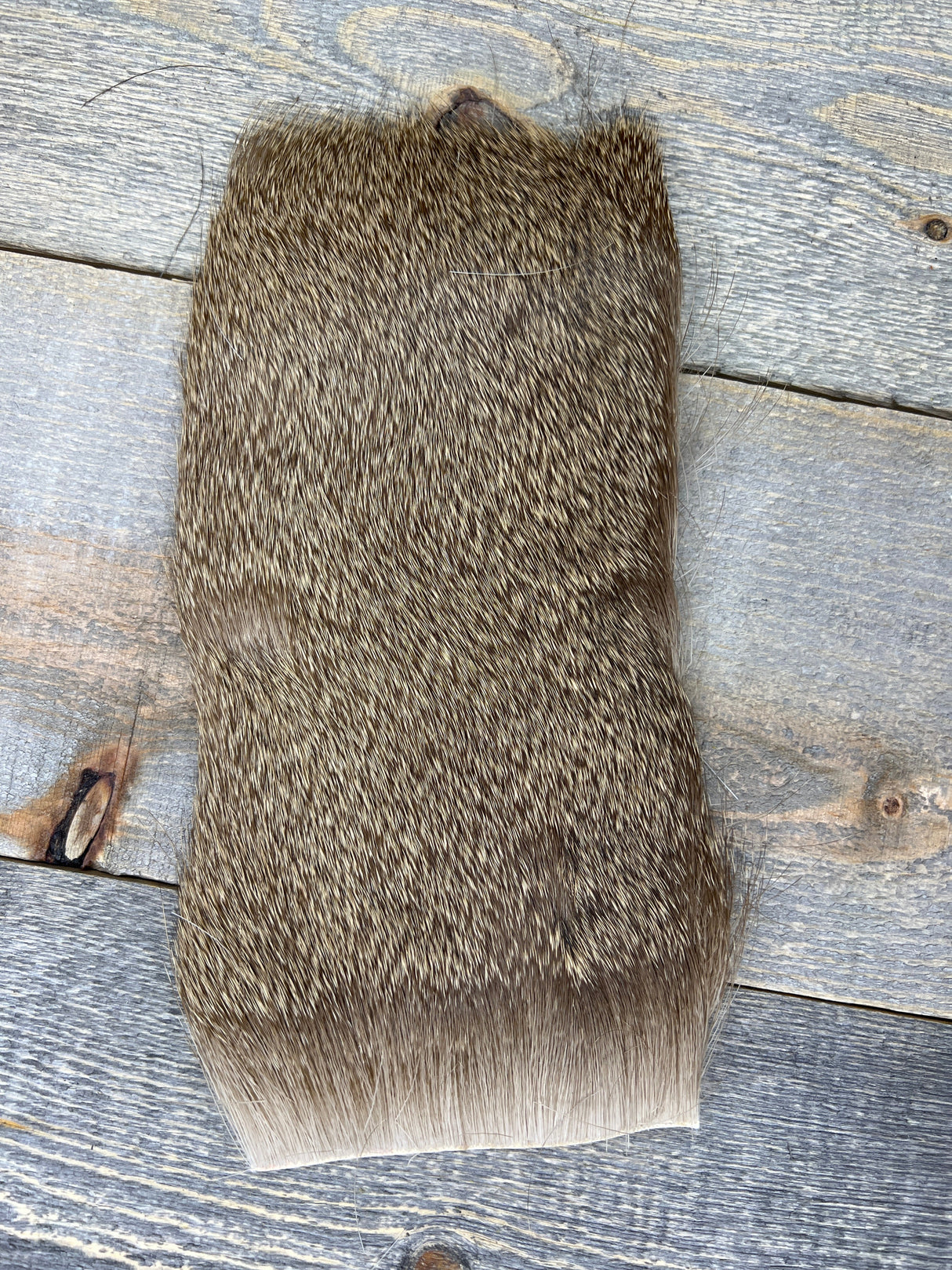 Varner's Big Bug Deer Hair 4" x 8" Patch - Late Season Grade #2 Ash Deer Hair