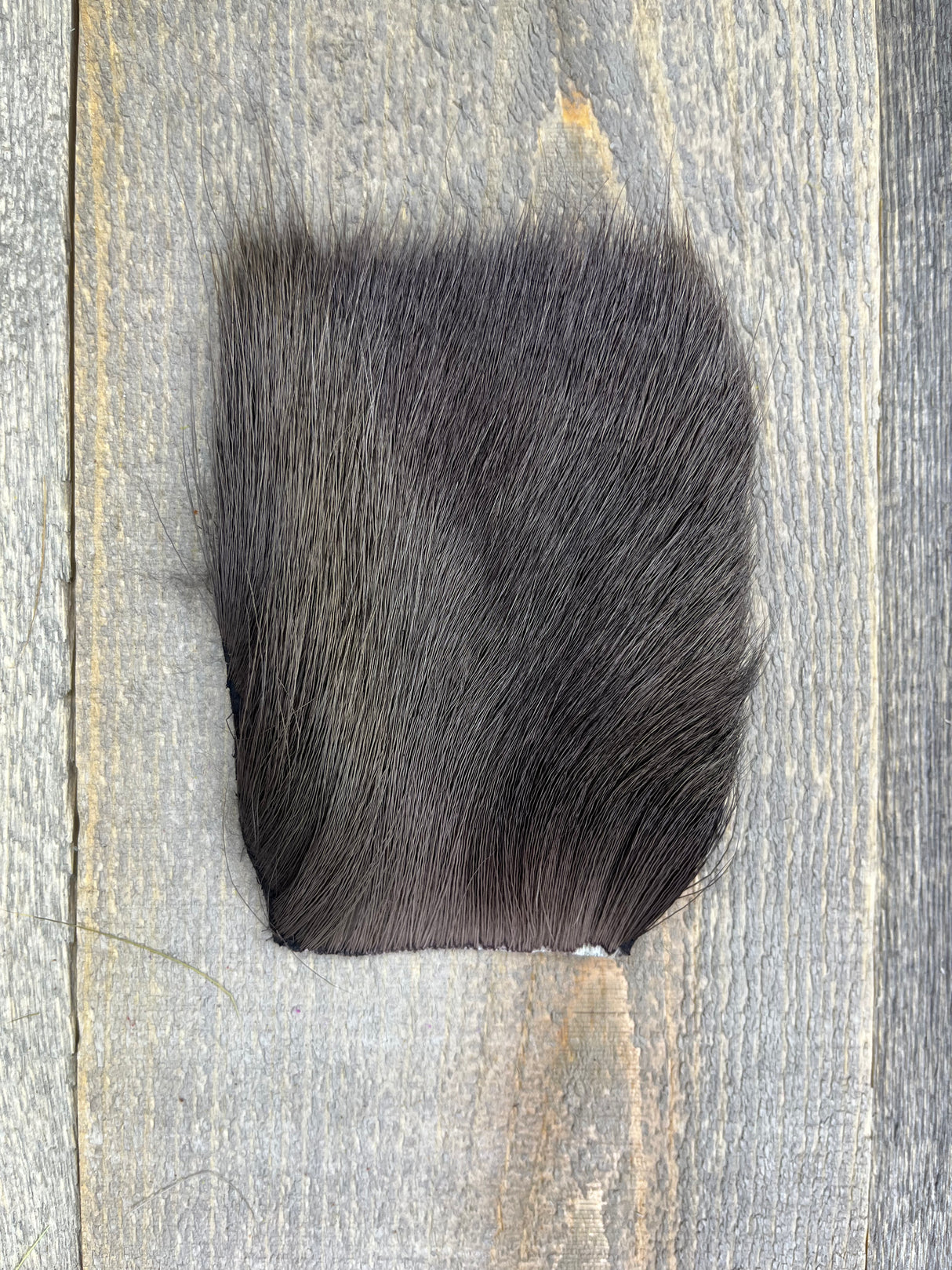 Varner's Deer Belly Hair Brown Deer Hair