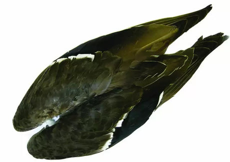 Wapsi Mallard Wing Pair Duck & Goose Feathers