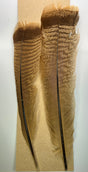 Wapsi Ozark Turkey Tail Cinnamon Tip Bleached Turkey Feathers