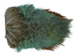 Wapsi Ringneck Rump Patch Pheasant Feathers