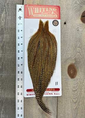Whiting Bronze Cree Cape #11 Dry Fly Hackle