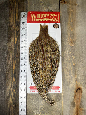 Whiting Bronze Cree Cape #12 Dry Fly Hackle