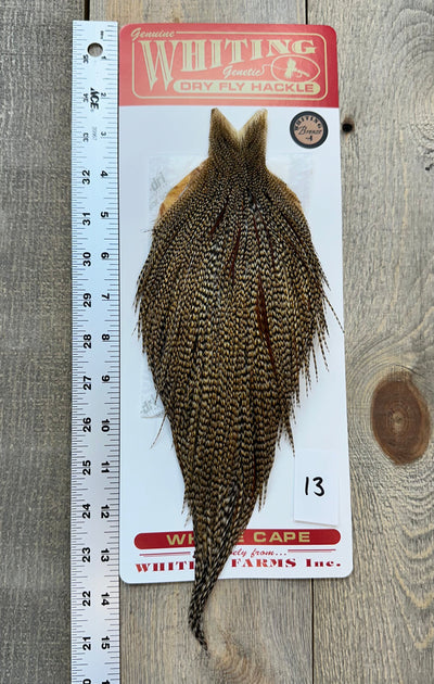 Whiting Bronze Cree Cape #13 Dry Fly Hackle