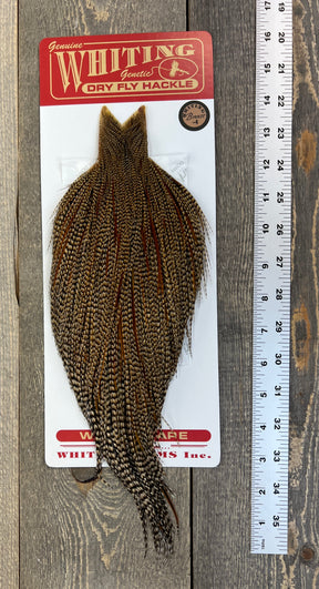 Whiting Bronze Cree Cape #6 Dry Fly Hackle