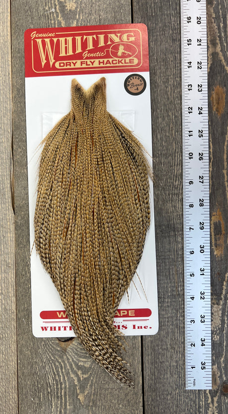 Whiting Bronze Cree Cape #8 Dry Fly Hackle