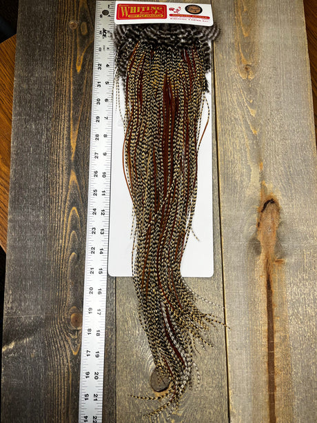Whiting Bronze Grade Saddle Cree #10 Dry Fly Hackle