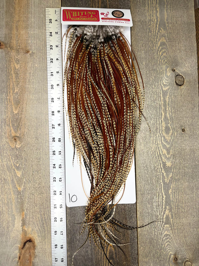 Whiting Bronze Grade Saddle Cree #10 Dry Fly Hackle