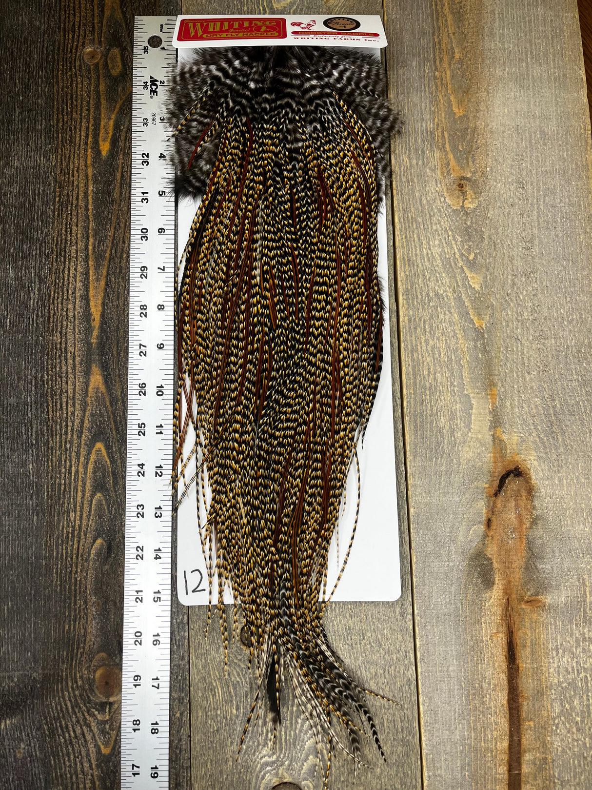 Whiting Bronze Grade Saddle Cree #12 Dry Fly Hackle