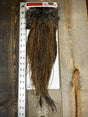 Whiting Bronze Grade Saddle Cree #12 Dry Fly Hackle