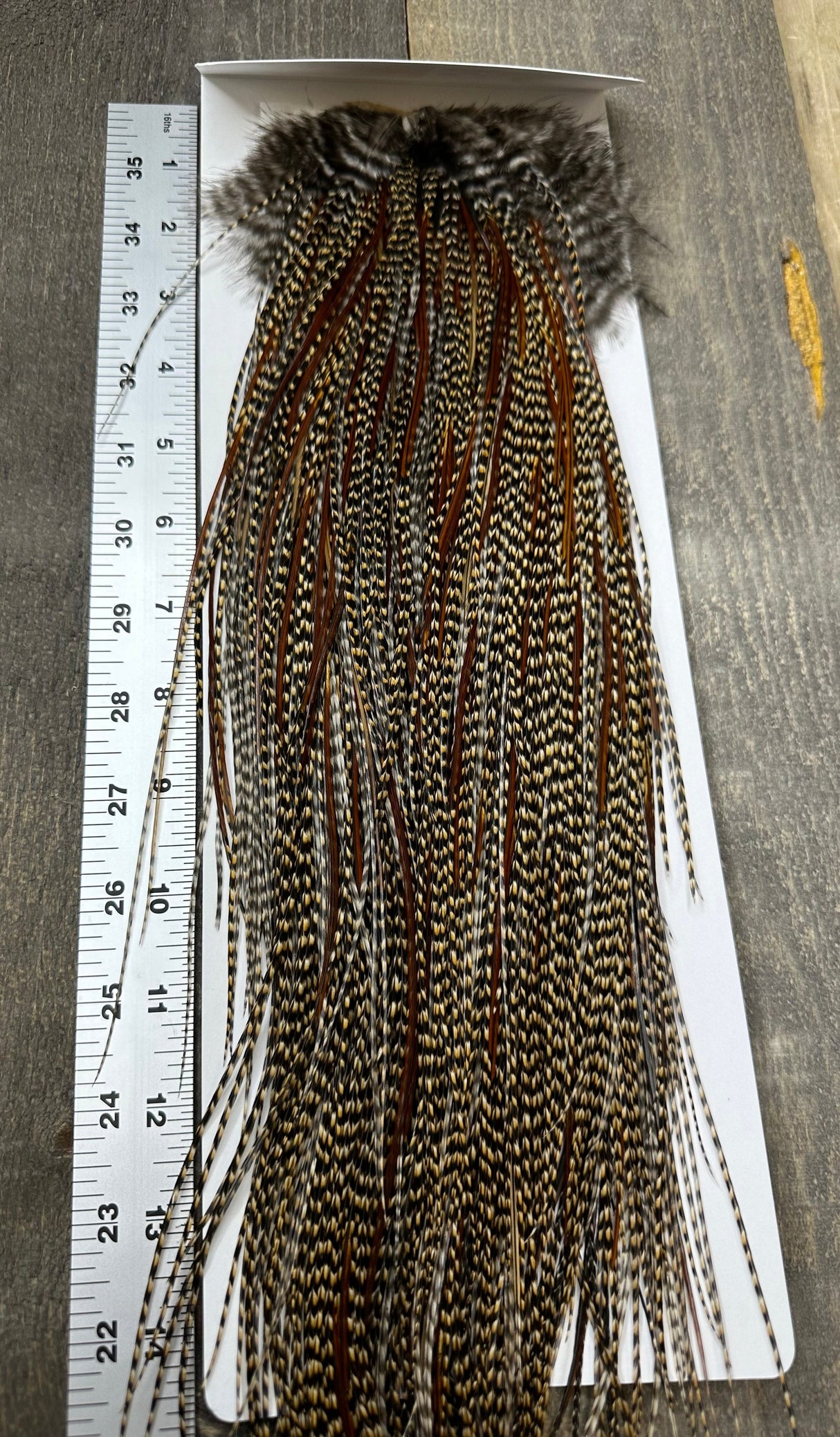 Whiting Bronze Grade Saddle Cree #8 Dry Fly Hackle