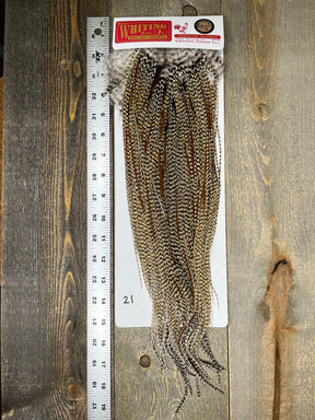 Whiting Bronze Midge Saddle Cree #21 Dry Fly Hackle