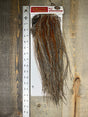 Whiting Bronze Midge Saddle Cree #5 Dry Fly Hackle