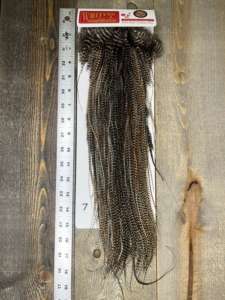 Whiting Bronze Midge Saddle Cree #7 Dry Fly Hackle