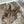 Whiting Farms CDL Schlappen Pack Dark Pardo