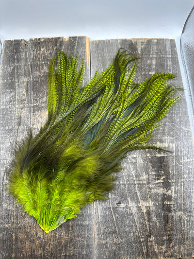Whiting Farms CDL Schlappen Pack Pardo dyed Fl. Green Chart.