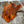 Whiting Farms CDL Schlappen Pack Pardo dyed Orange