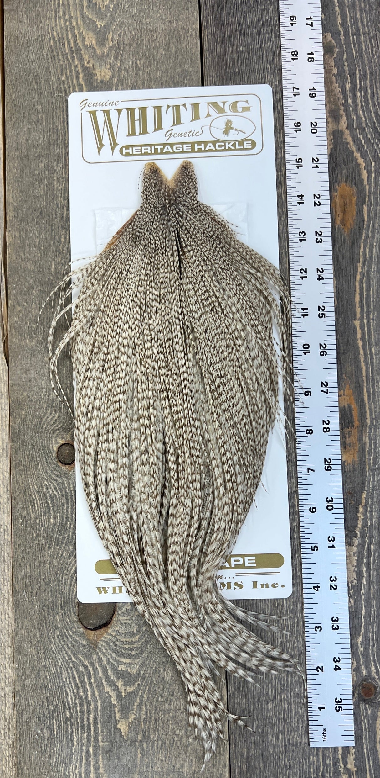 Whiting Heritage Cape Grade #1 - #01 Dry Fly Hackle