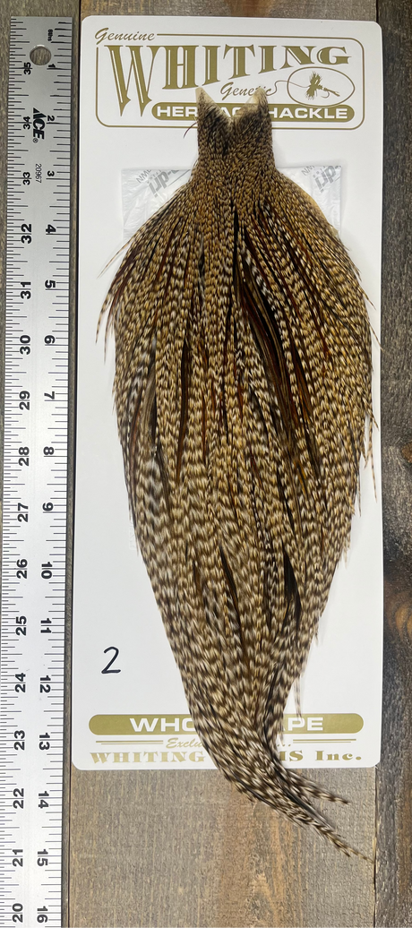 Whiting Heritage Cape Grade #1 - #02 Dry Fly Hackle