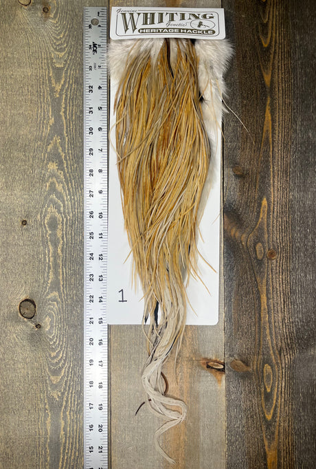 Whiting Heritage Saddle Grade #3 - #01 Dry Fly Hackle