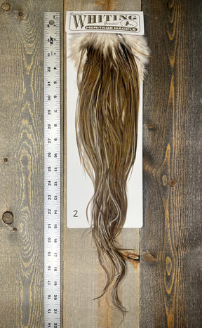 Whiting Heritage Saddle Grade #3 - #02 Dry Fly Hackle