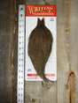 Whiting Pro Grade Cree Cape #24 Dry Fly Hackle