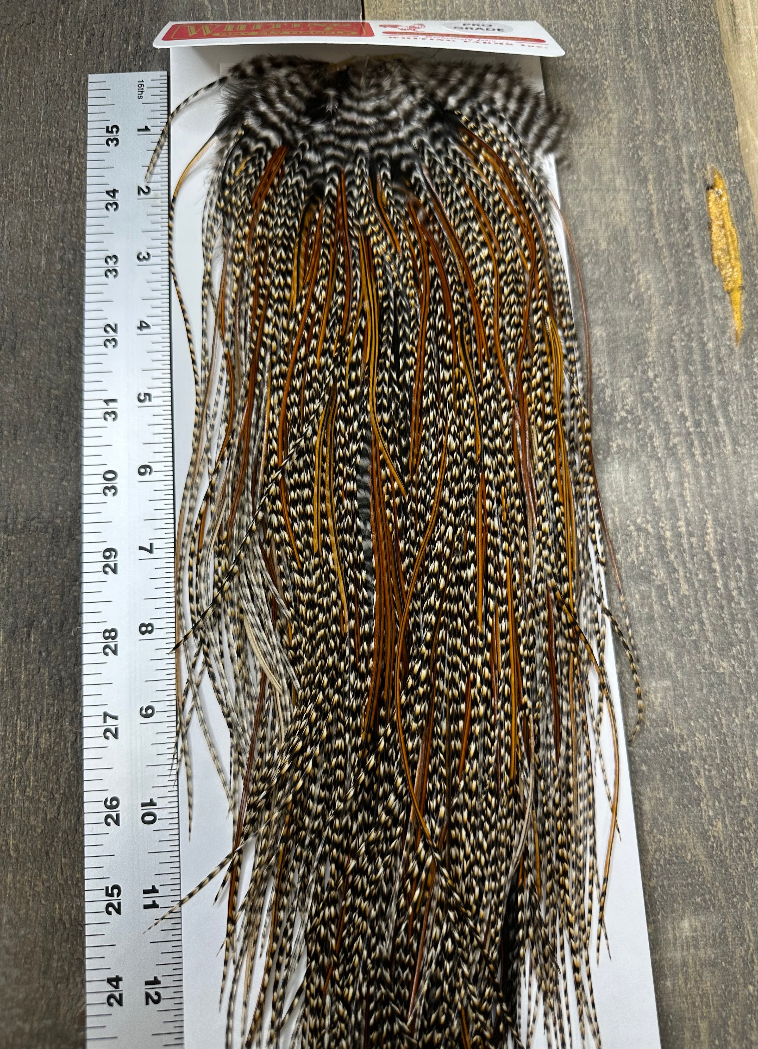 whiting-progradecreecapes-