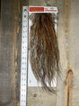 Whiting Pro Grade Saddle Cree #2 Dry Fly Hackle