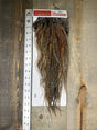 Whiting Pro Grade Saddle Cree #6 Dry Fly Hackle