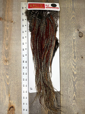 Whiting Silver Grade Saddle Cree #16 Dry Fly Hackle