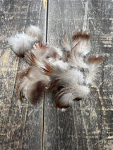 Wood Duck Neck Feathers Saddle Hackle, Hen Hackle, Asst. Feathers